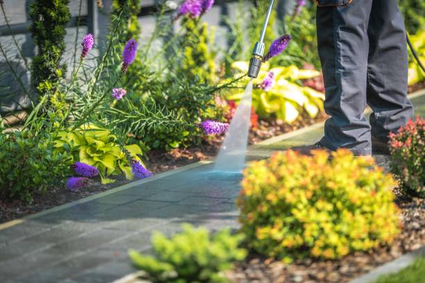 Best Pool Deck Cleaning  in Saunders Lake, OR