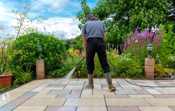 Best Animal Enclosure Cleaning  in Saunders Lake, OR